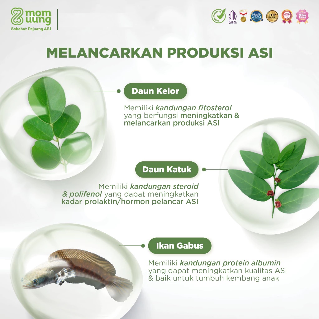 MOM UUNG ASI Booster 60 Kapsul / PELANCAR ASI 60 Kapsul NATURAL