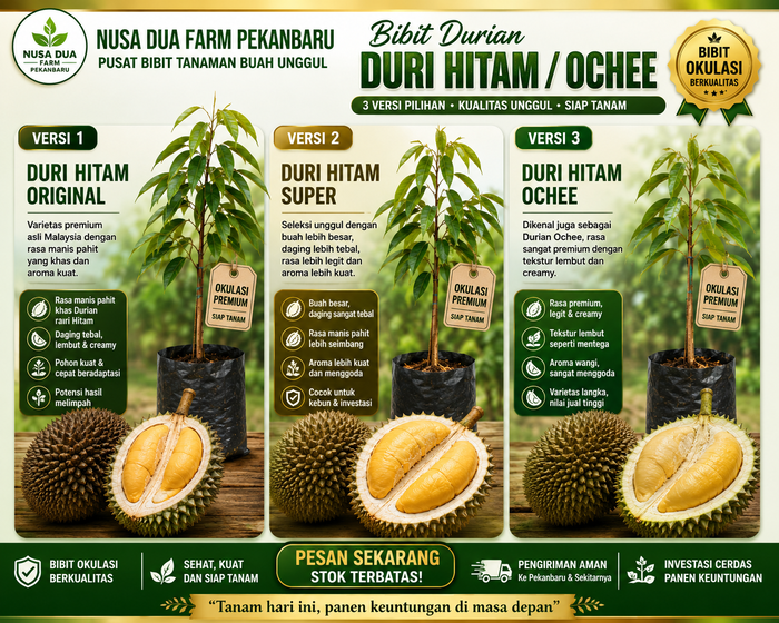Jual Bibit Durian Duri Hitam berbagai Ukuran Pekanbaru